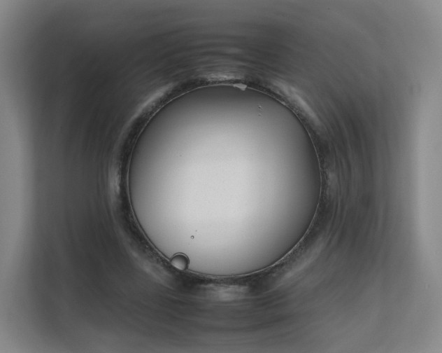 X0000111630539200907241052