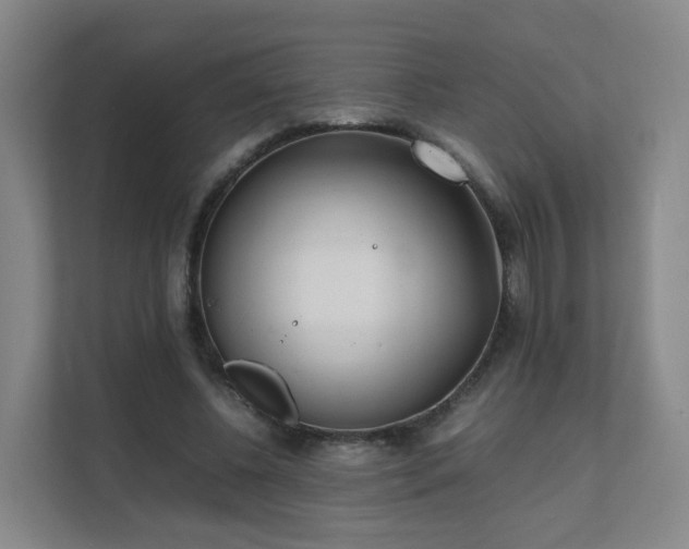 X0000111630540200907241052