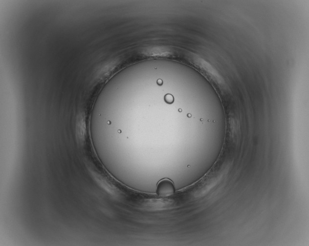 X0000111630541200907241052