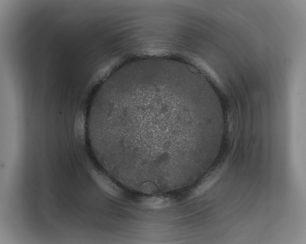 X0000111630542200907241052