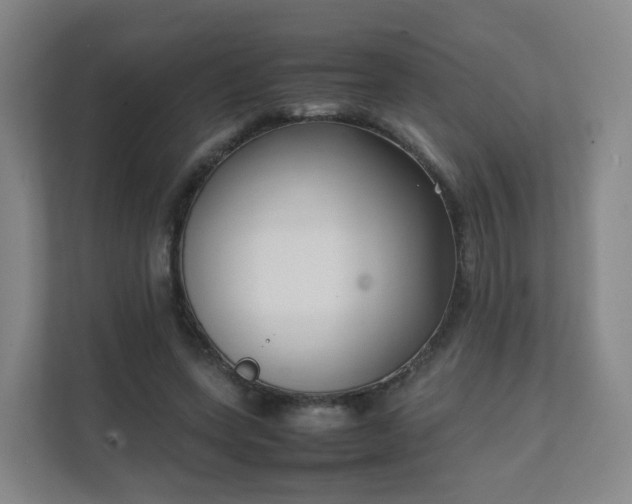 X0000111630543200907241052