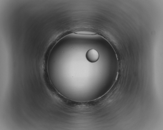 X0000111630544200907241052