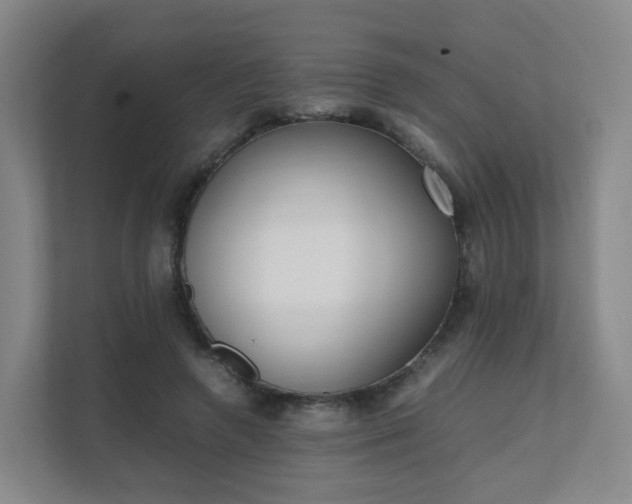 X0000111630546200907241052