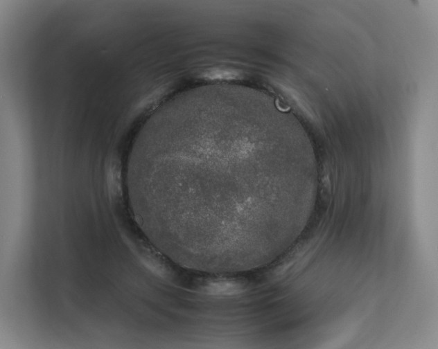 X0000111630547200907241052