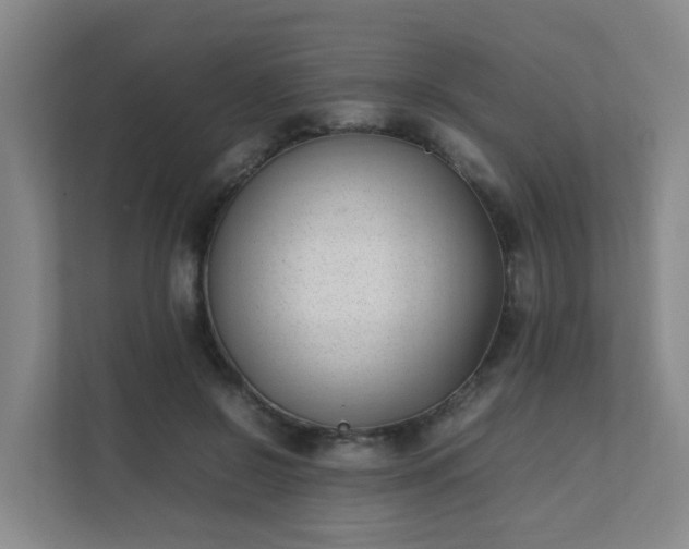 X0000111630550200907241052