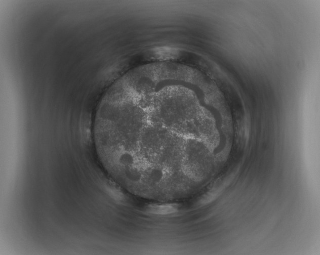 X0000111630553200907241052