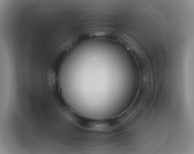 X0000111630555200907241052