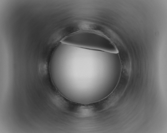 X0000111630556200907241052