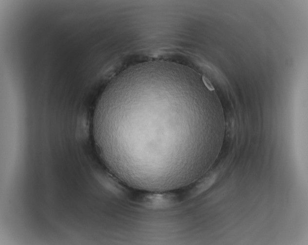 X0000111630558200907241053