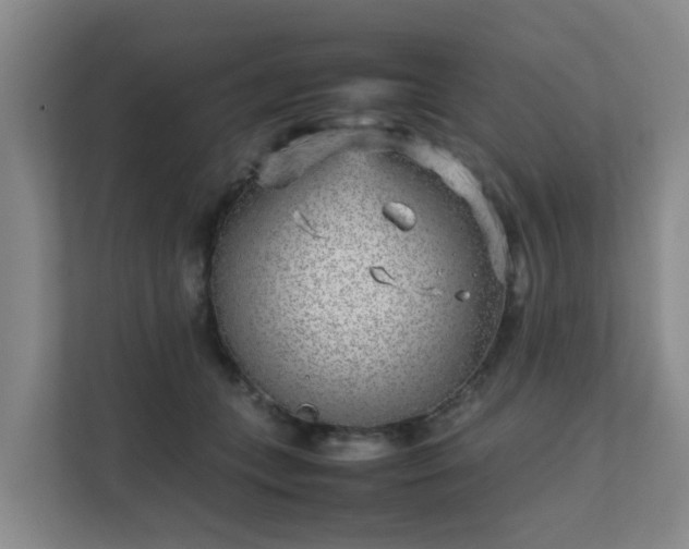 X0000111630559200907241053