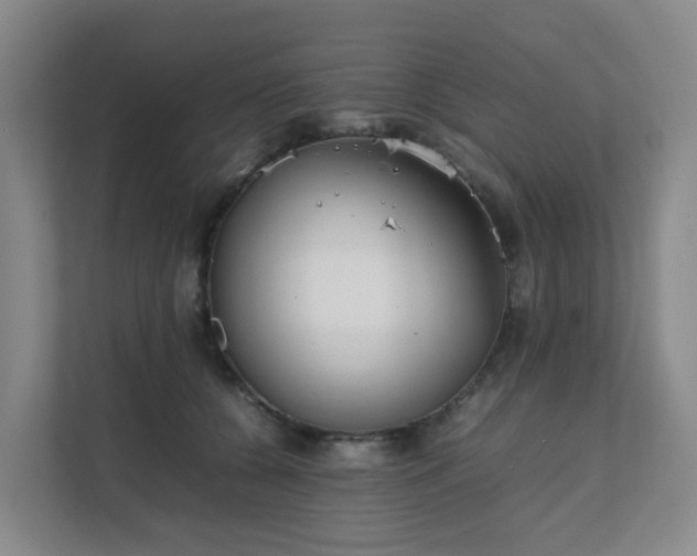 X0000111630560200907241053