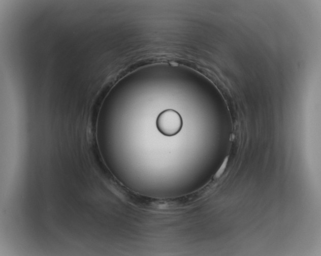 X0000111630564200907241053