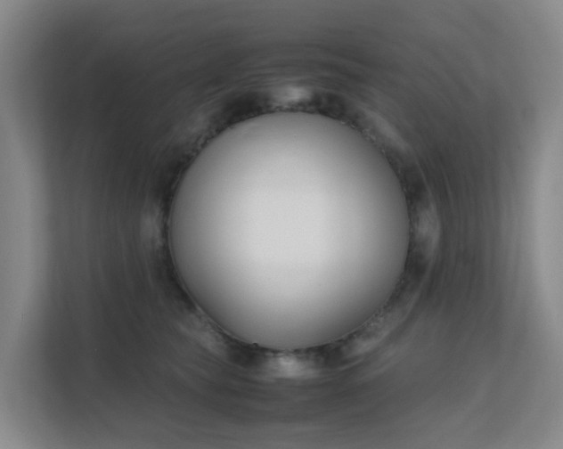 X0000111630565200907241053