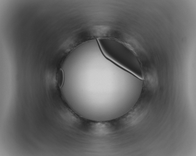 X0000111630566200907241053