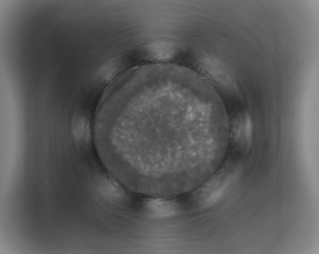 X0000111630568200907241053