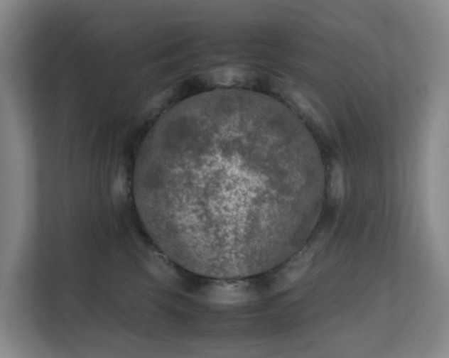 X0000111630569200907241053