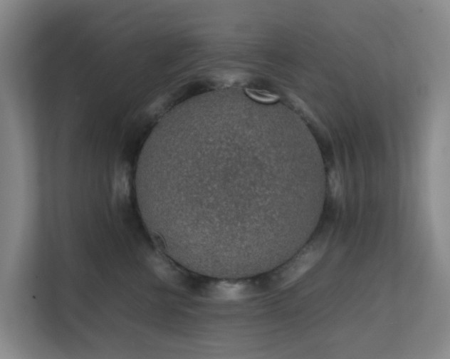 X0000111630570200907241053