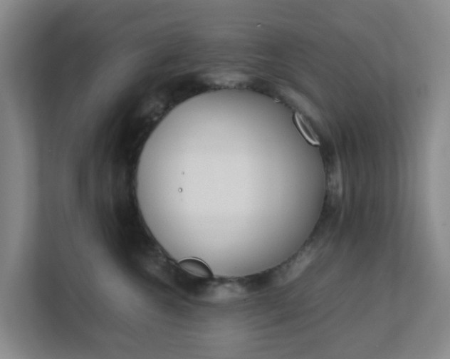 X0000111630572200907241053