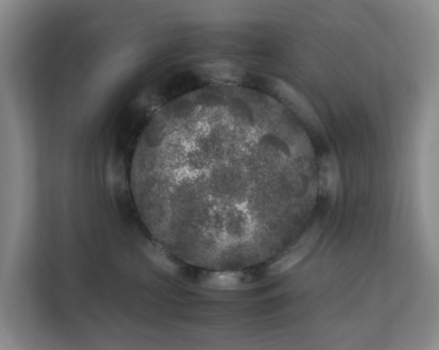 X0000111630573200907241053