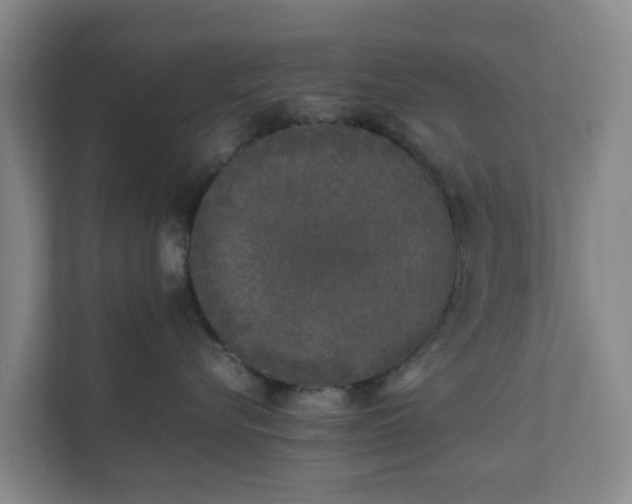 X0000111630576200907241053