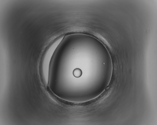 X0000111630581200907241052