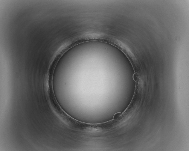 X0000111630582200907241052