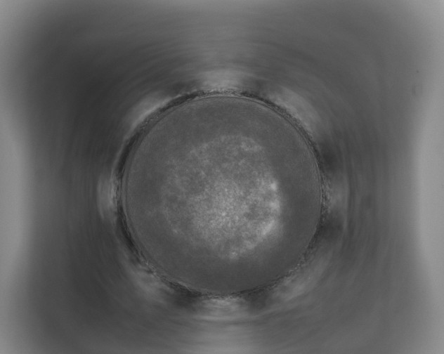 X0000111630583200907241052