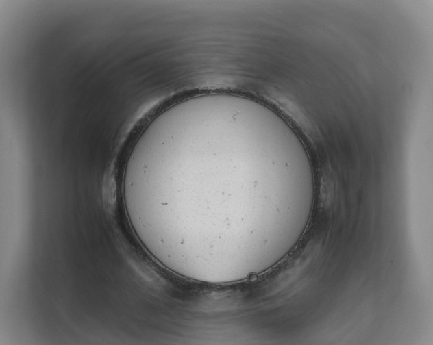 X0000111630584200907241052