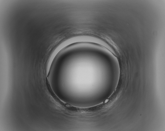 X0000111630585200907241052