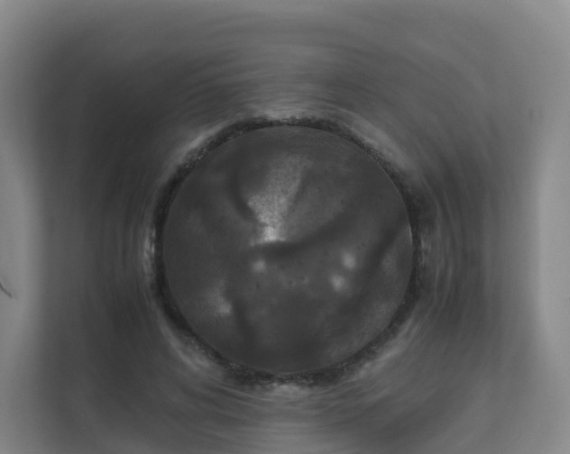 X0000111630592200907241052