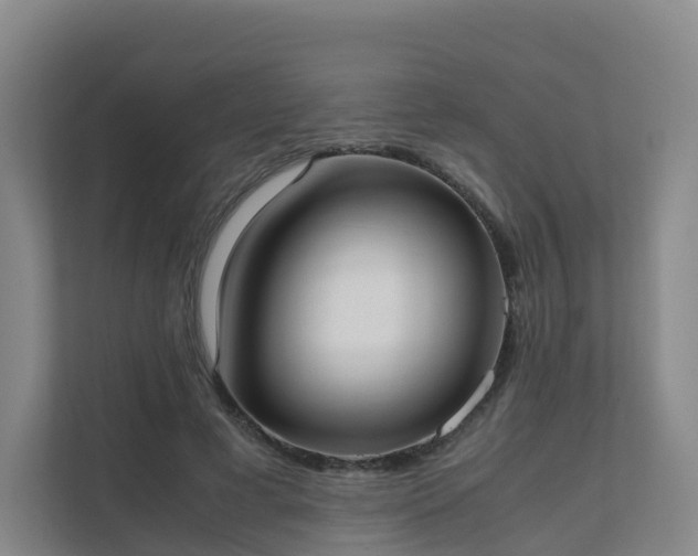 X0000111630593200907241052