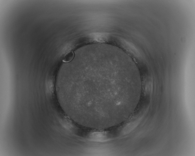 X0000111630595200907241052