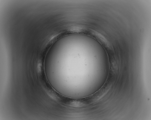 X0000111630596200907241052