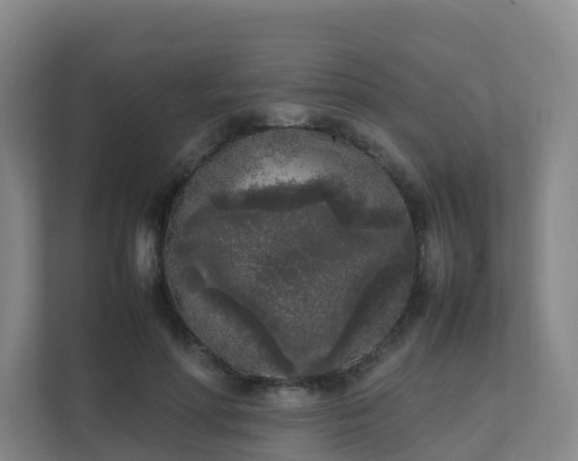 X0000111630598200907241052