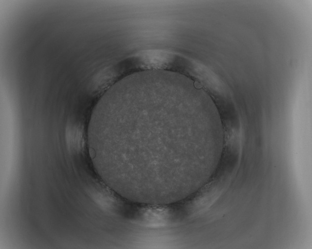 X0000111630599200907241052