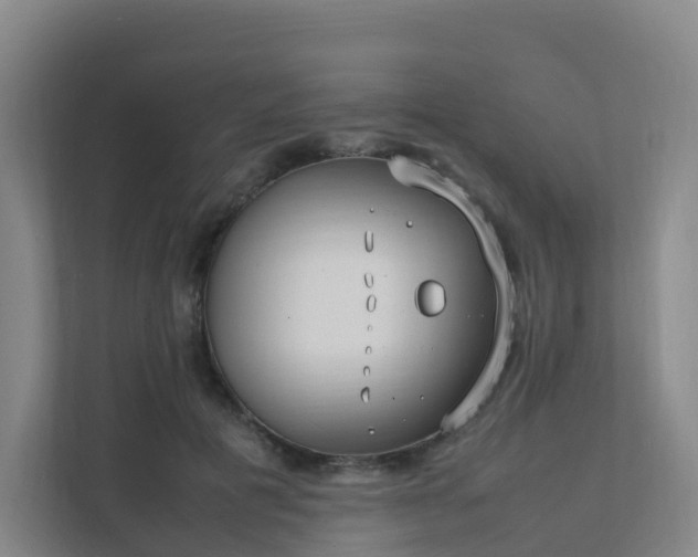 X0000111630601200907241052