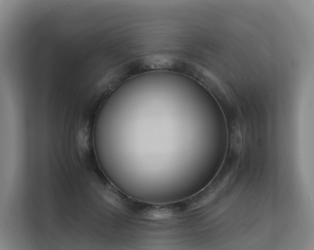 X0000111630604200907241052