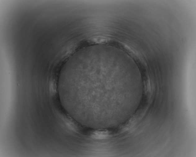 X0000111630606200907241052