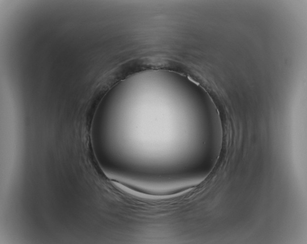 X0000111630609200907241052