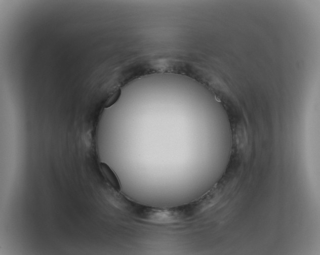 X0000111630611200907241052