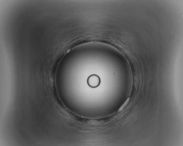 X0000111630613200907241052