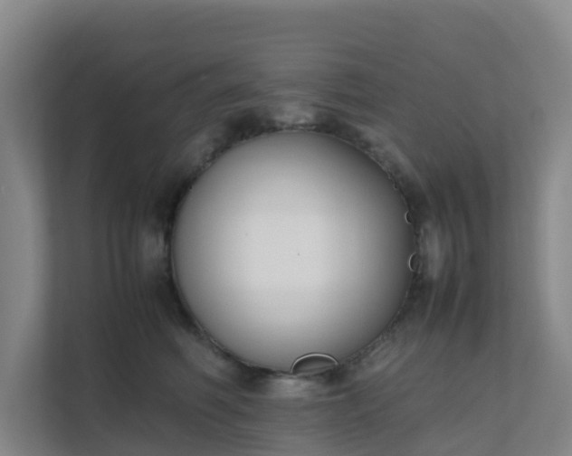 X0000111630614200907241052