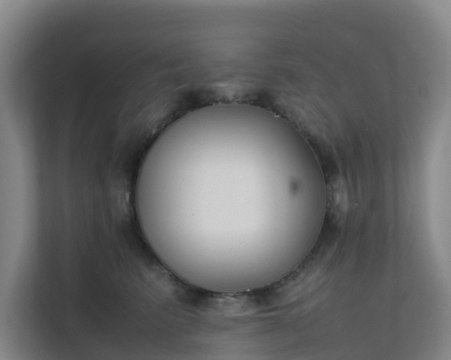 X0000111630615200907241052