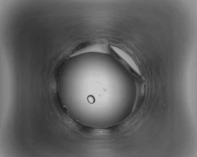 X0000111630617200907241052