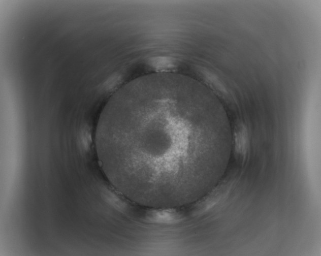 X0000111630618200907241052