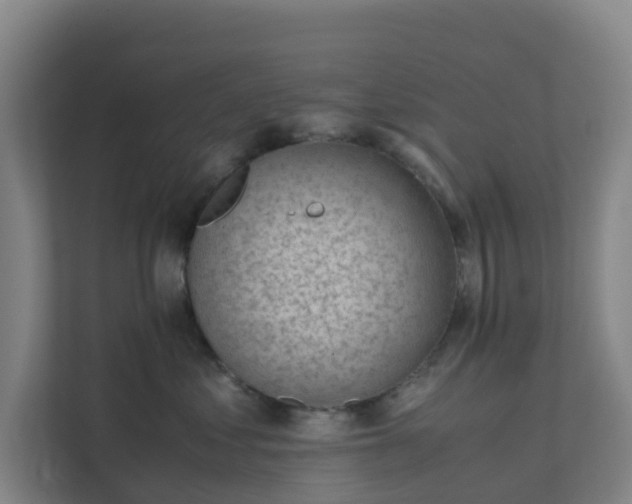 X0000111630621200907241052