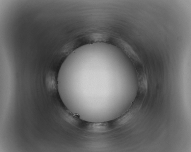 X0000111630622200907241052