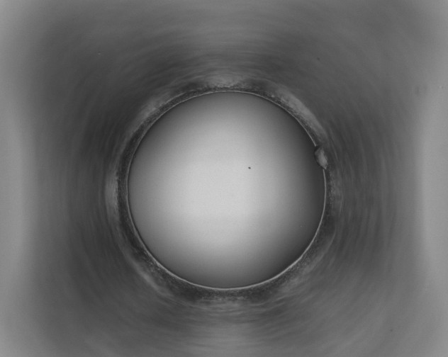 X0000111630626200907241051