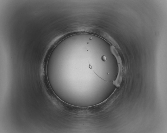 X0000111630628200907241051