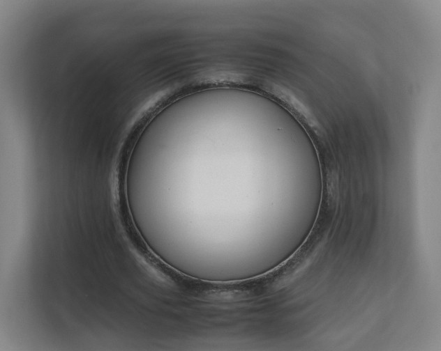 X0000111630629200907241051